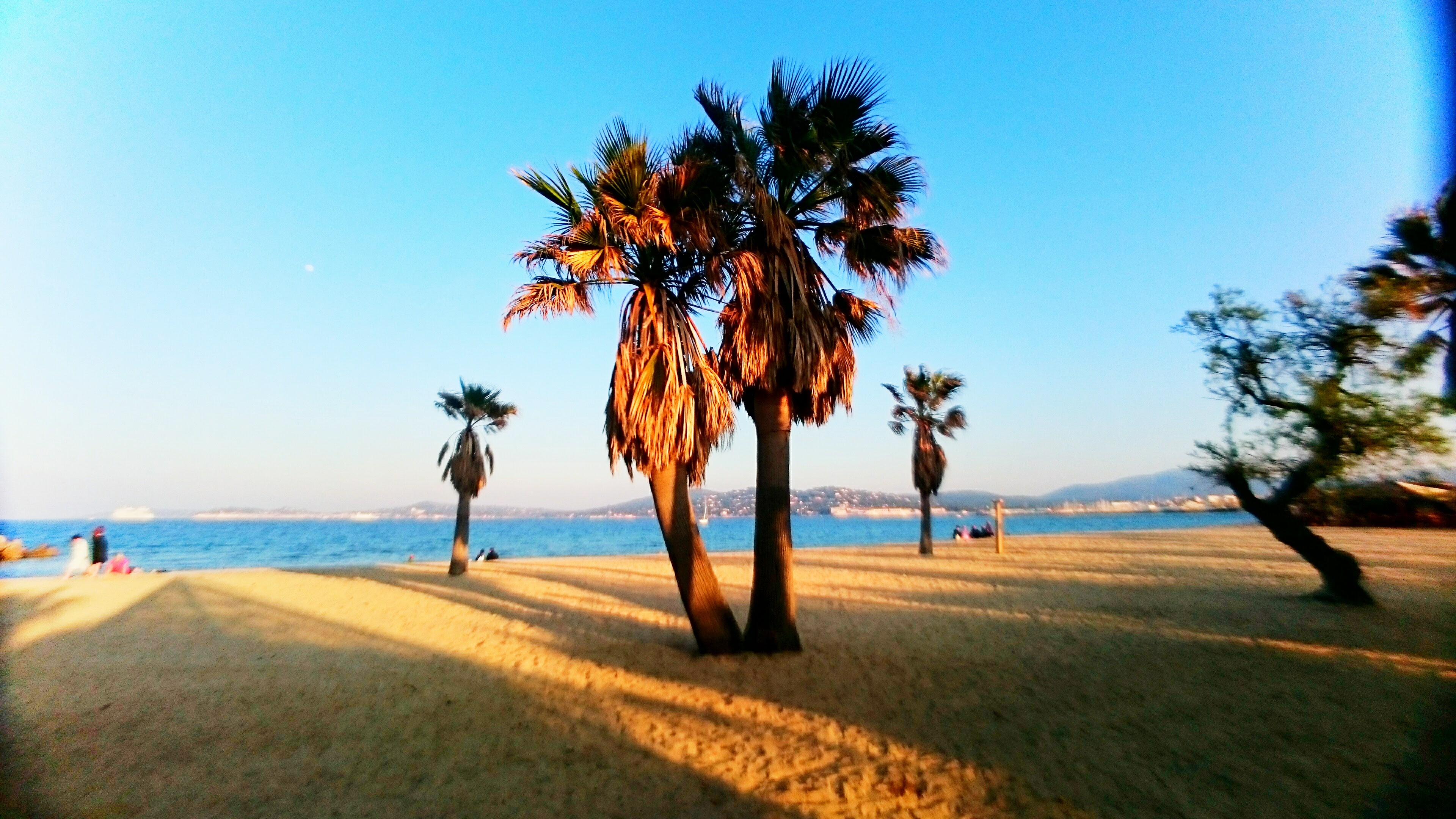 plage de saint-tropez