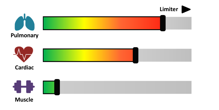 test assessment 5-1-5 moxy facteurs limitations de la performance de athlete