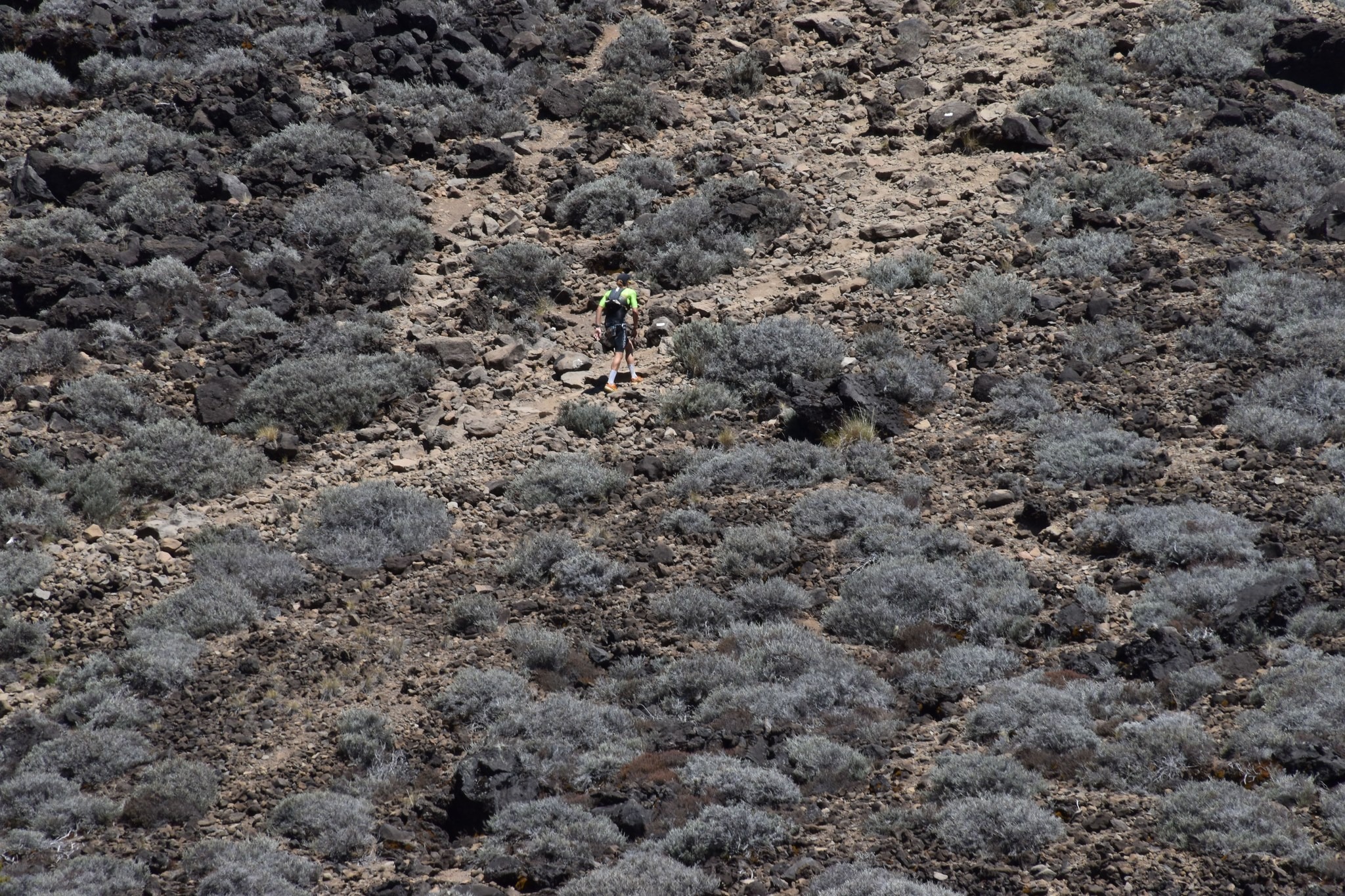 william even sur la 0 3000